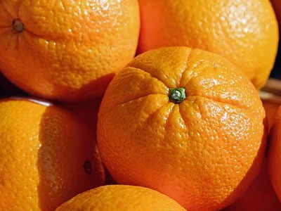 Rennmaus Obst Gemüse Orangen