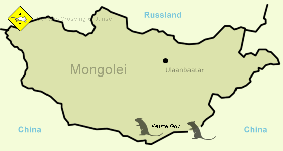 Rennmaus Republik Mongolei