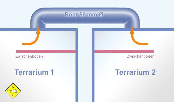 Rennmaus Terrarium verbinden