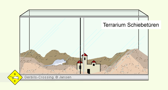 Rennmaus Terrarium